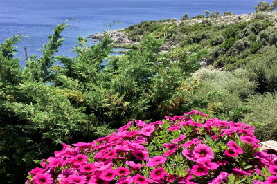 Meganisi_Aurora Bungalows_03!.jpg